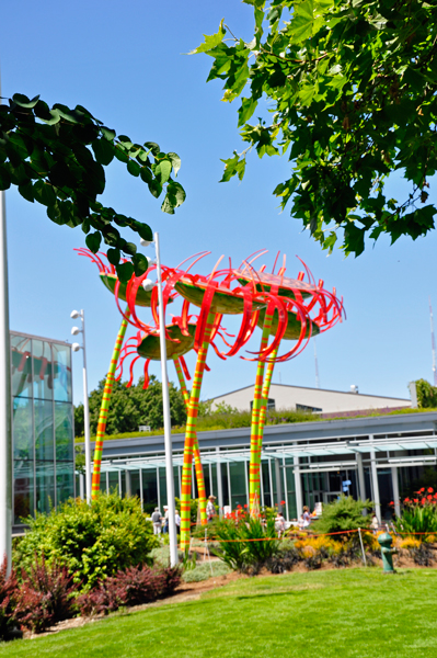 art at the Seattle Center